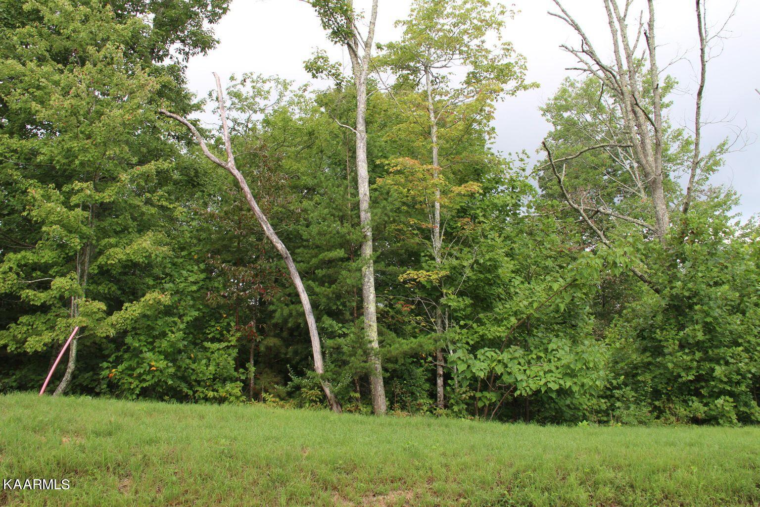 Lot 56 West Poplar Ln  