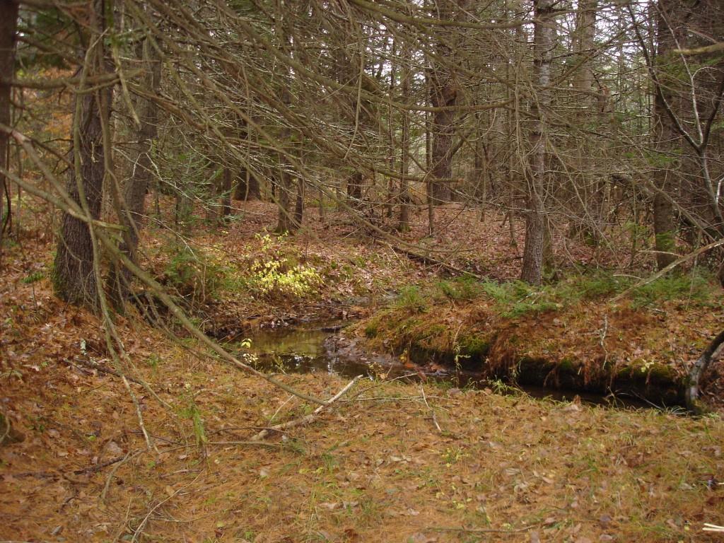 10.65-ac Buzzell Road Biddeford, ME 04005 - Photo 5 of 7 Photo