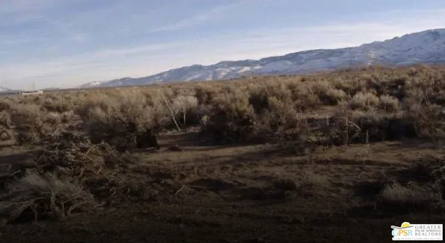 a view of a forest with mountains in the background