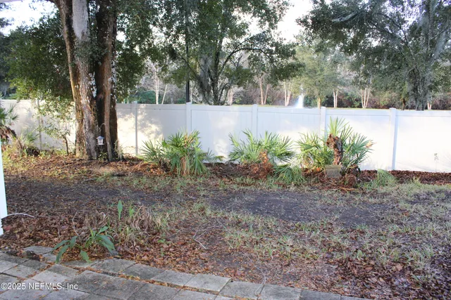 a view of a backyard