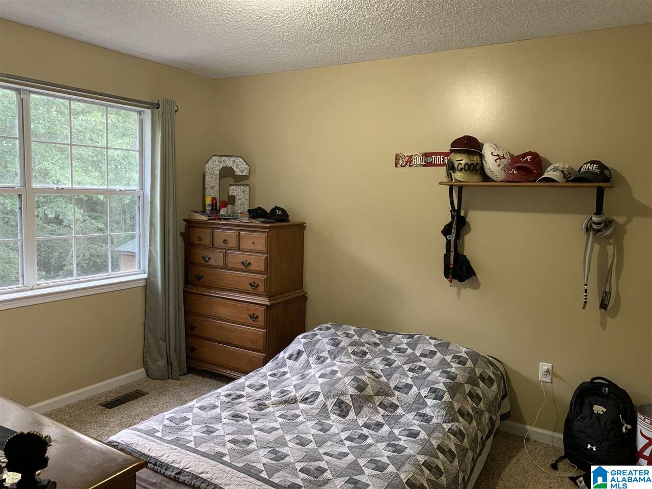 236 Elbert Gallimore Road Hayden, AL 35079 - Photo 12 of 15