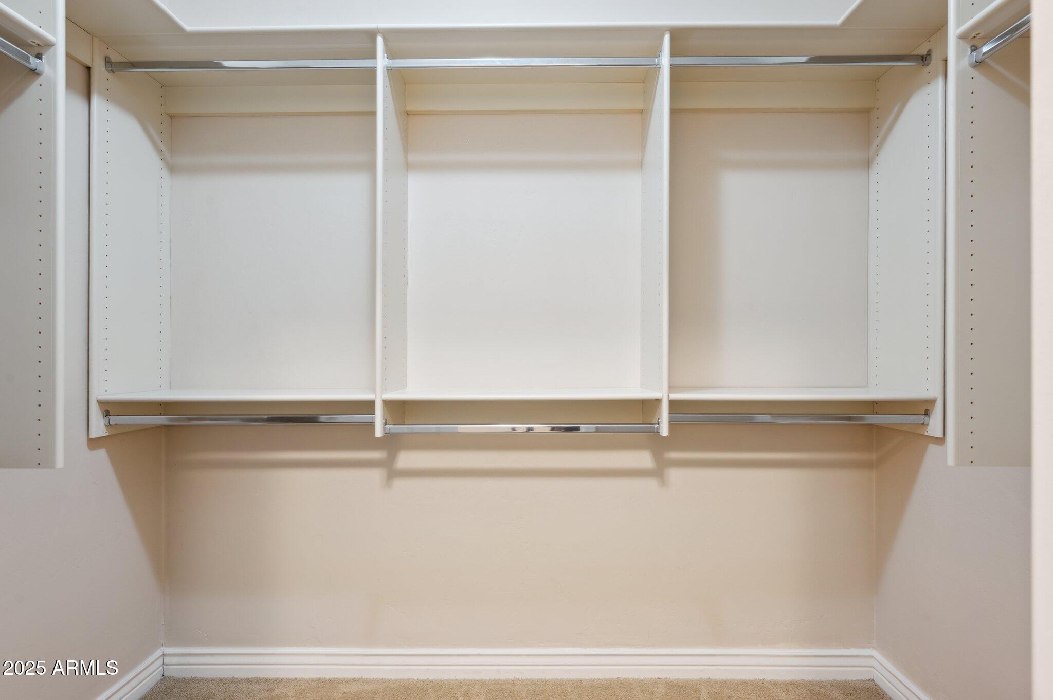 5450 East Deer Valley Drive, Unit 1214 Phoenix, AZ 85054 - Photo 13 of 35 a close view of closet