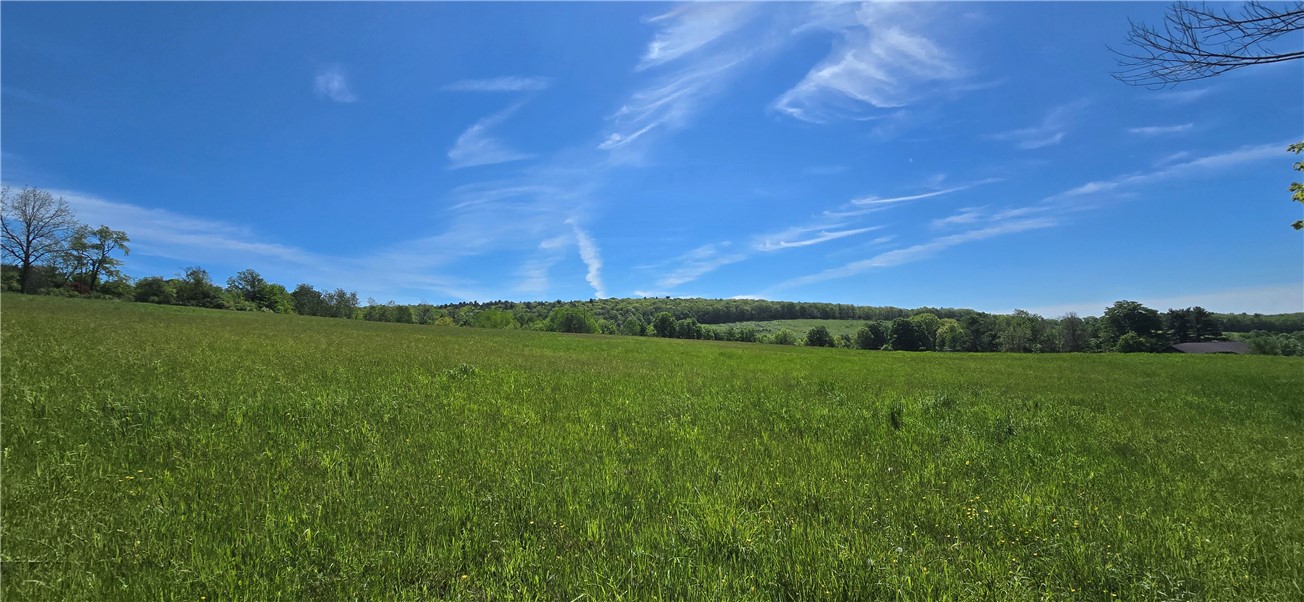 324 Murphy Hill Road Catlin, NY 14845 - Photo 15 of 47