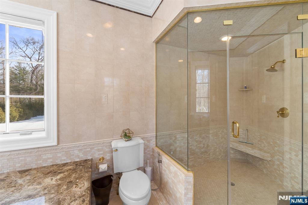 24 Tulip Tree Lane Alpine, NJ 07620 - Photo 26 of 50