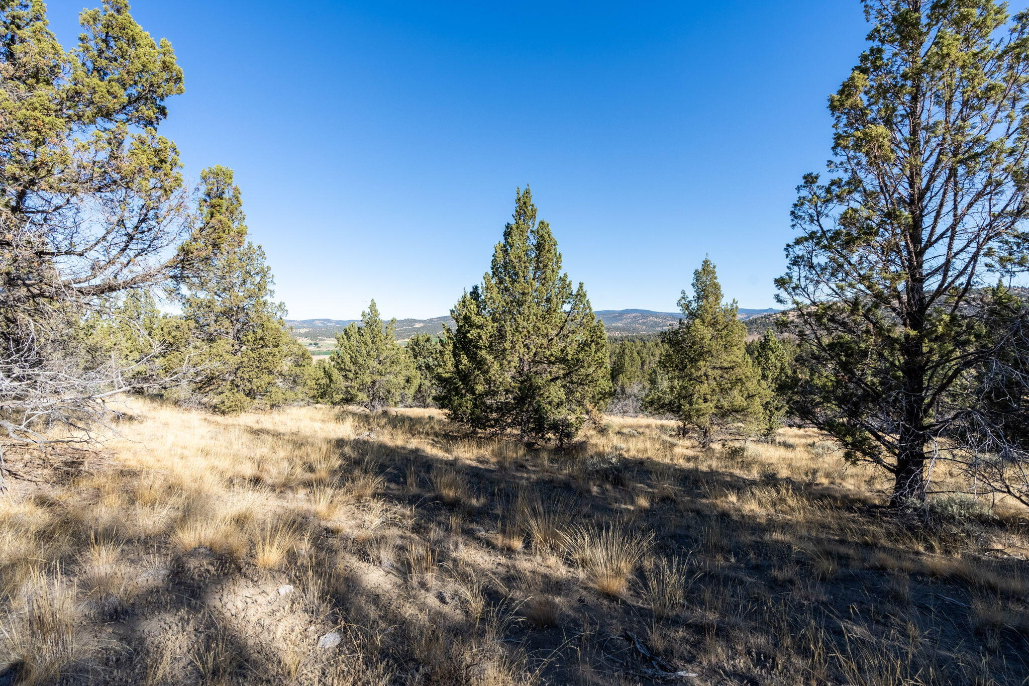 5598 North Mckay Road Prineville, OR 97754 - Photo 79 of 81 IMG_5795
