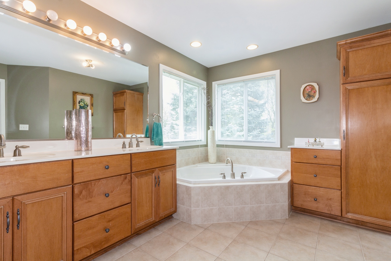 705 Queens Gate Circle Sugar Grove, IL 60554 - Photo 16 of 25 a large spacious bathroom with a large tub and sink