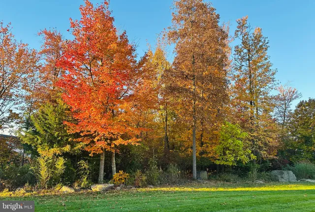 a view of swimming pool from a balcony