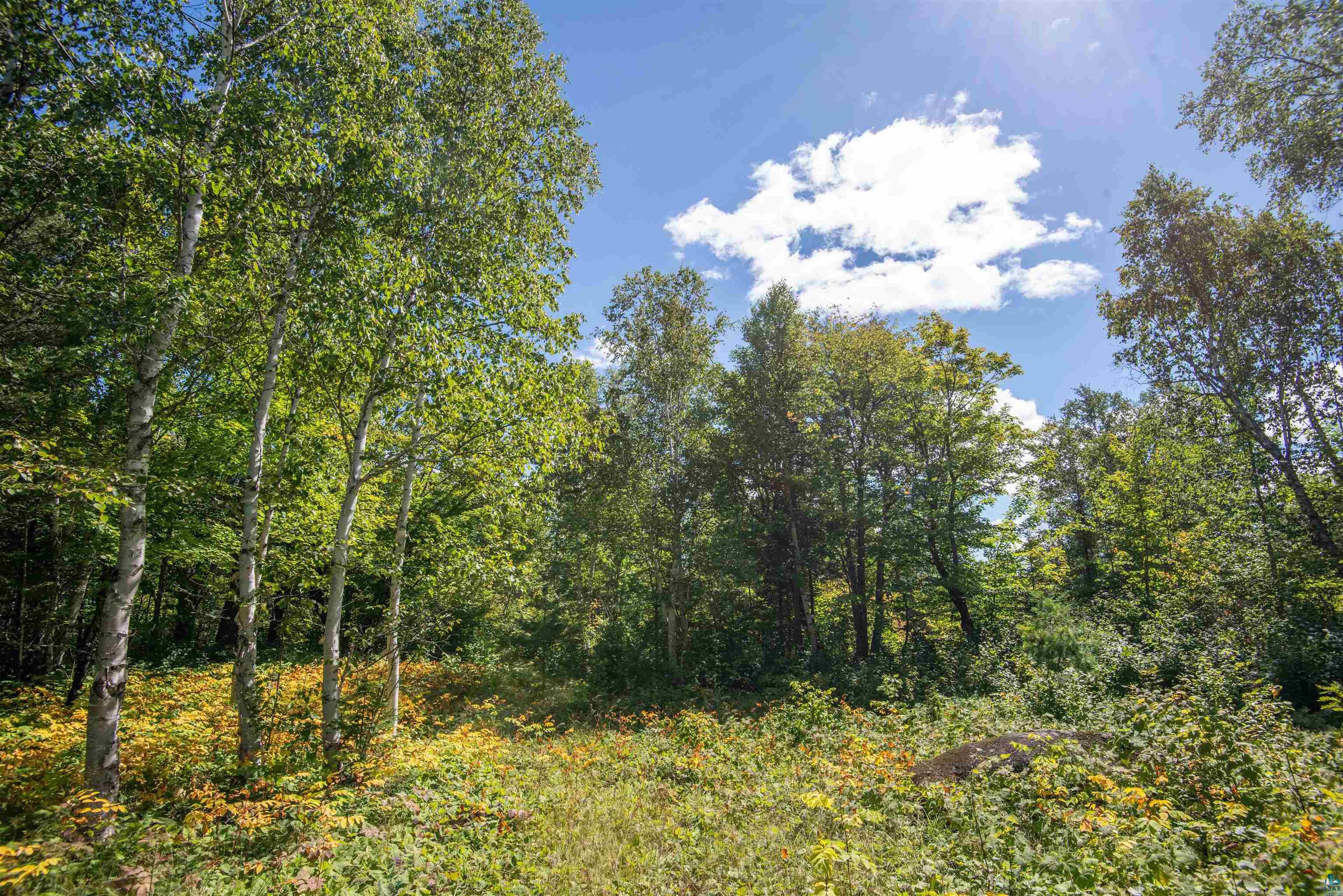 1808 Tom Lake Road Hovland, MN 55606 - Photo 28 of 28