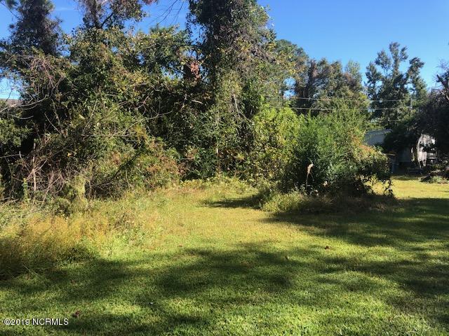 301 Parrot Swamp Loop Road Hubert, NC 28539 - Photo 5 of 6 301 Parrot Swamp Loop