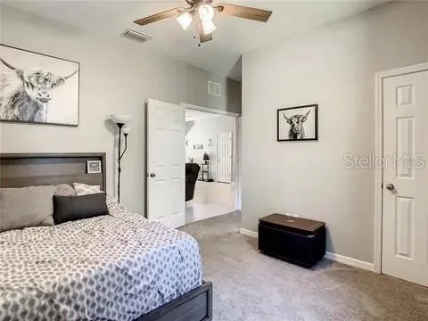 $3,400 | 6402 Yellow Buckeye Drive, Riverview, FL 33578