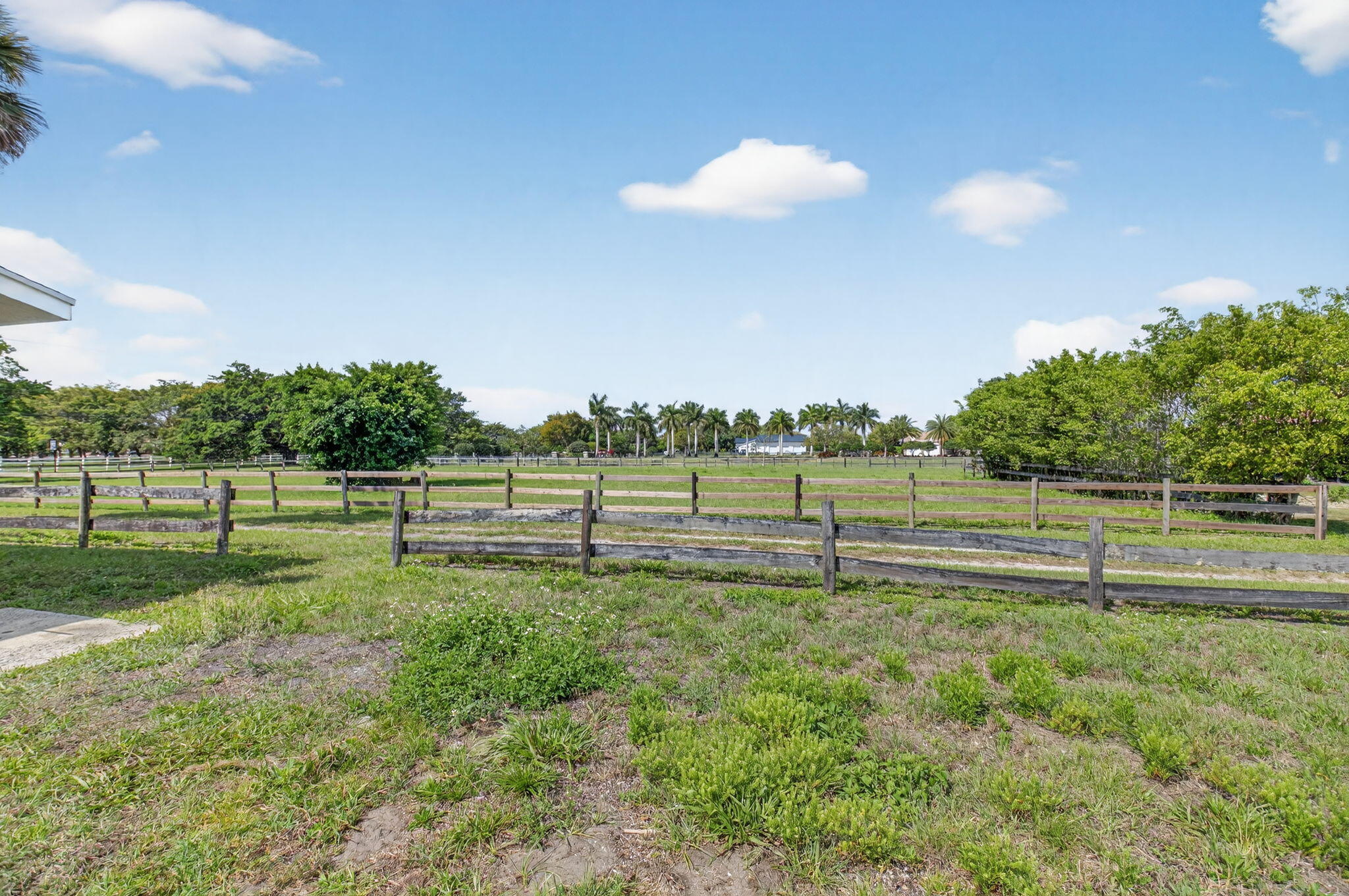 10157 La Reina Road Delray Beach, FL 33446 - Photo 58 of 74 55-web-or-mls-DSC_9801