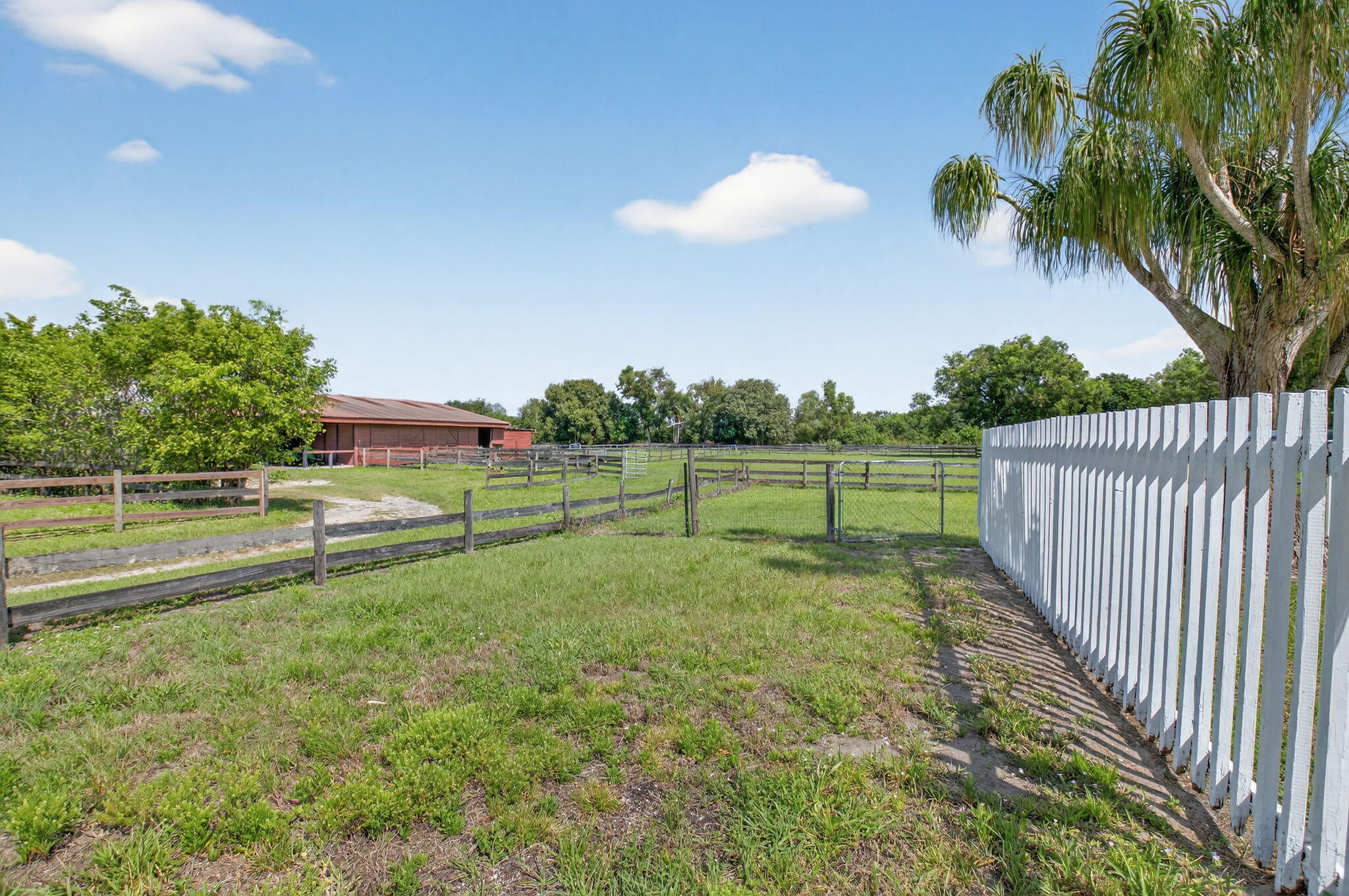 10157 La Reina Road Delray Beach, FL 33446 - Photo 59 of 74 56-web-or-mls-DSC_9809