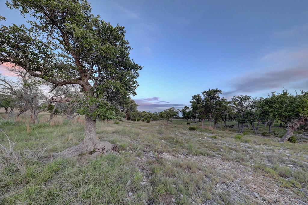 0 Stevens Ranch Road Harper, TX 78631 - Photo 13 of 31 a view of a field with trees in background