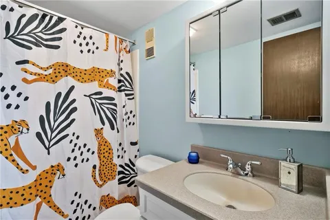 a bathroom with a sink and mirror with painted walls