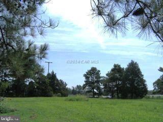 0 Deer Dale Road Princess Anne, MD 21853 - Photo 3 of 9 Gallery Image 3