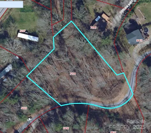 a picture of a small yard