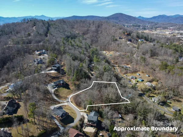 a view of a dry yard