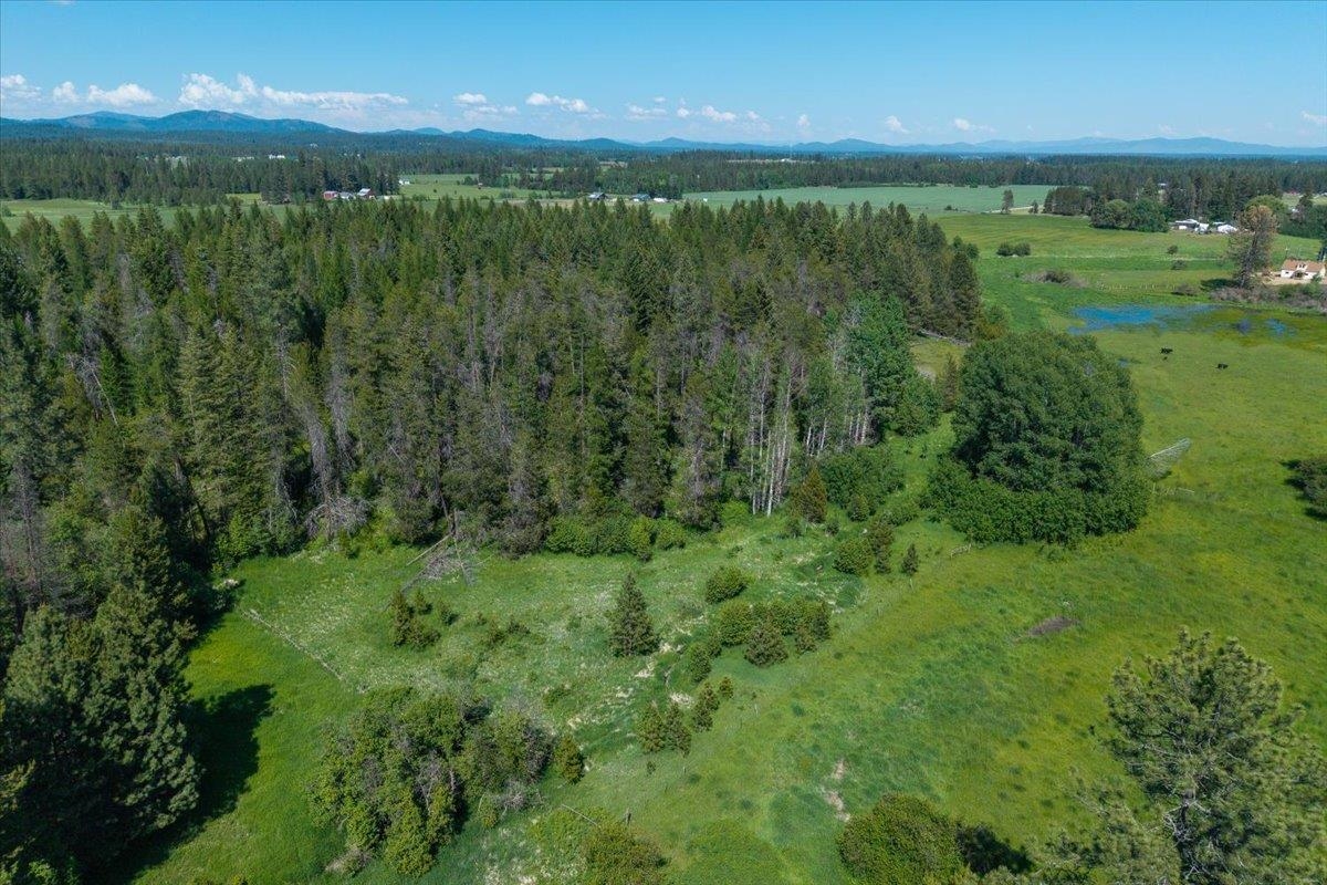 4668 Williams Valley Road Clayton, WA 99110 - Photo 44 of 44