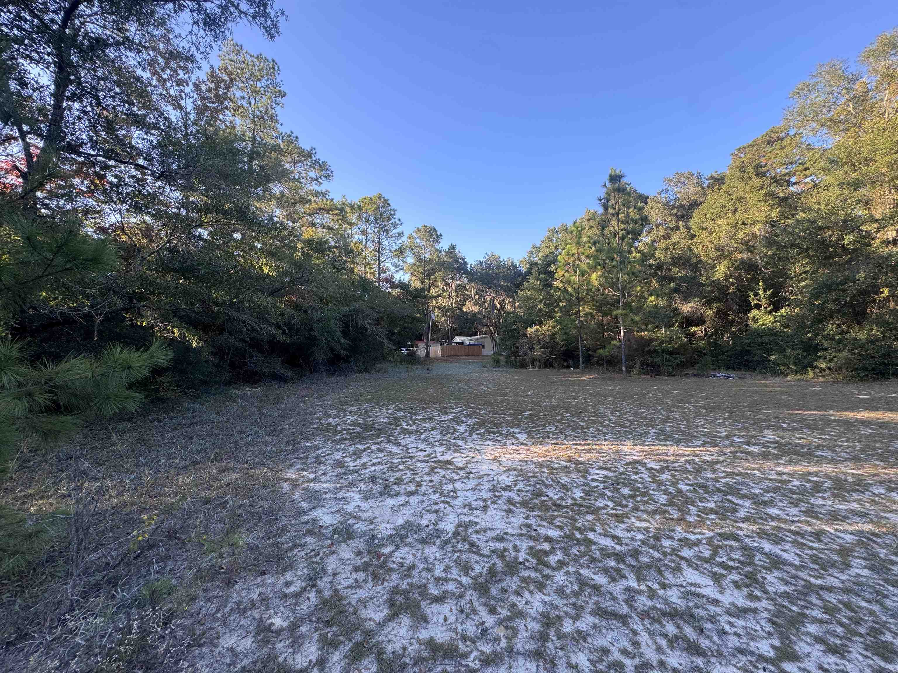 153 Davidson Street Quincy, FL 32351 - Photo 6 of 11