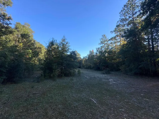 $45,000 | 153 Davidson Street, Quincy, FL 32351