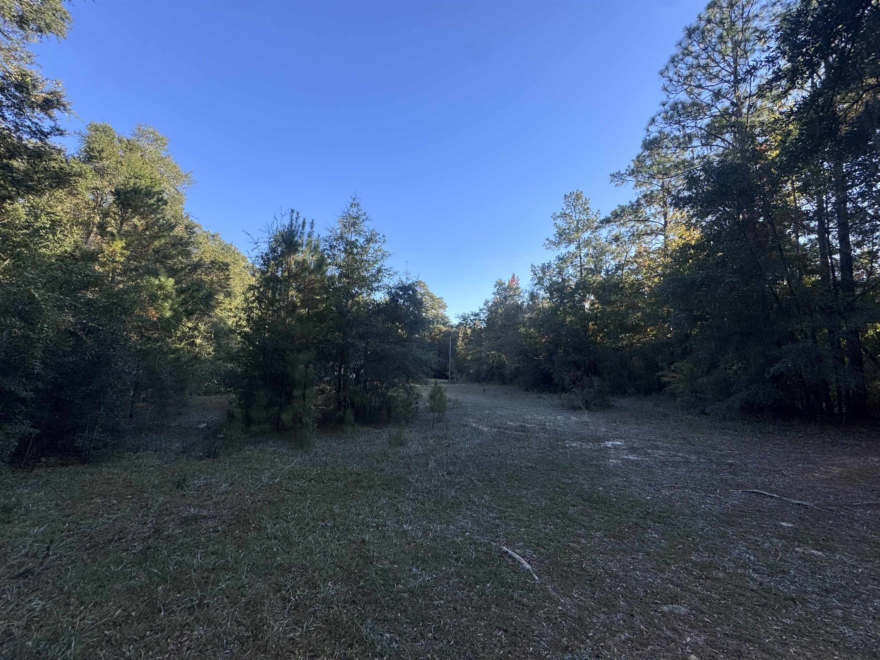 153 Davidson Street Quincy, FL 32351 - Photo 8 of 11