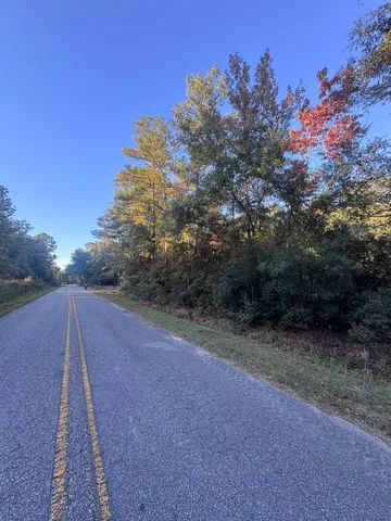 $45,000 | 153 Davidson Street, Quincy, FL 32351