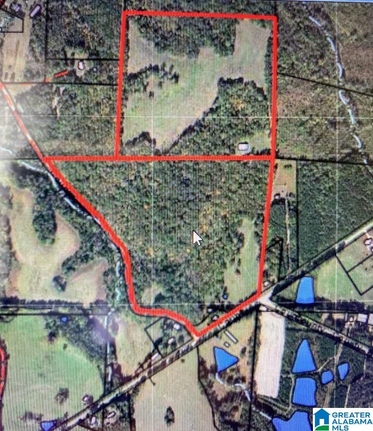 14791 County Road 10, Unit 45 ACRES Ranburne, AL 36273 - Photo 27 of 43
