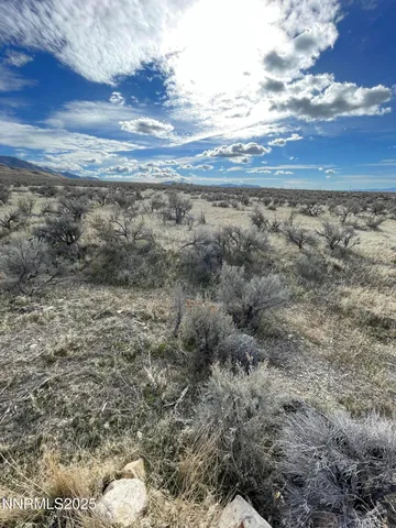 a view of a dry yard with wooden floor and fence