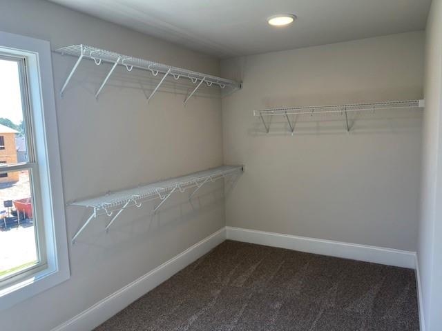 4245 Trinity Oaks Trail Cumming, GA 30040 - Photo 14 of 29