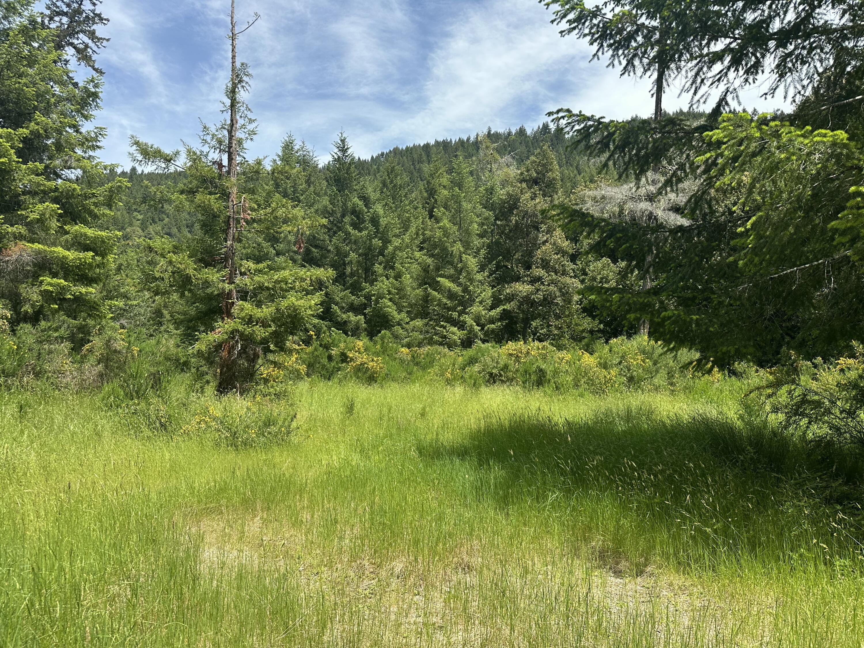 328-acres Saber Tooth Road Blue Lake, CA 95525 - Photo 23 of 23