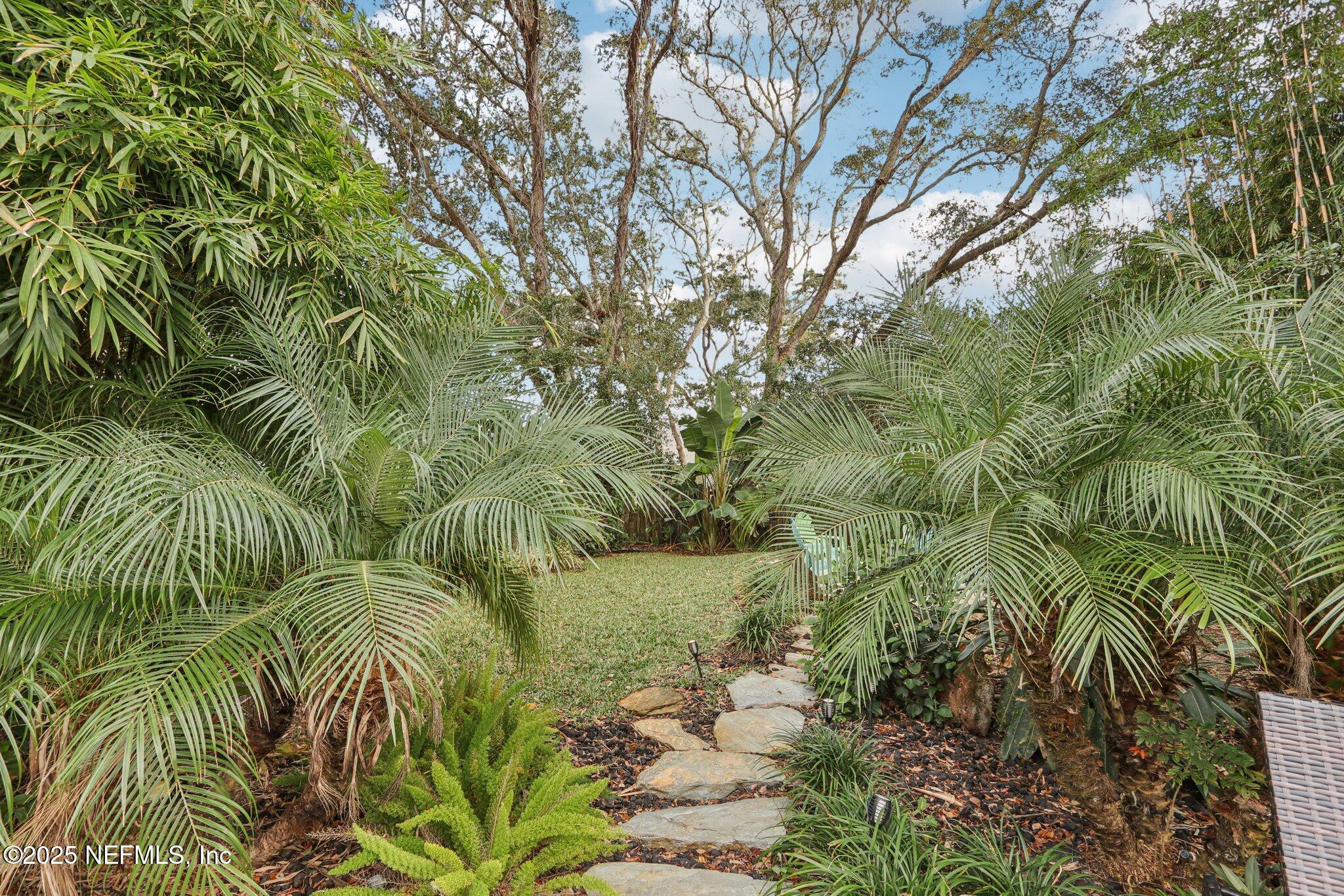 409 Seventeenth Street St. Augustine, FL 32084 - Photo 35 of 42 Backyard