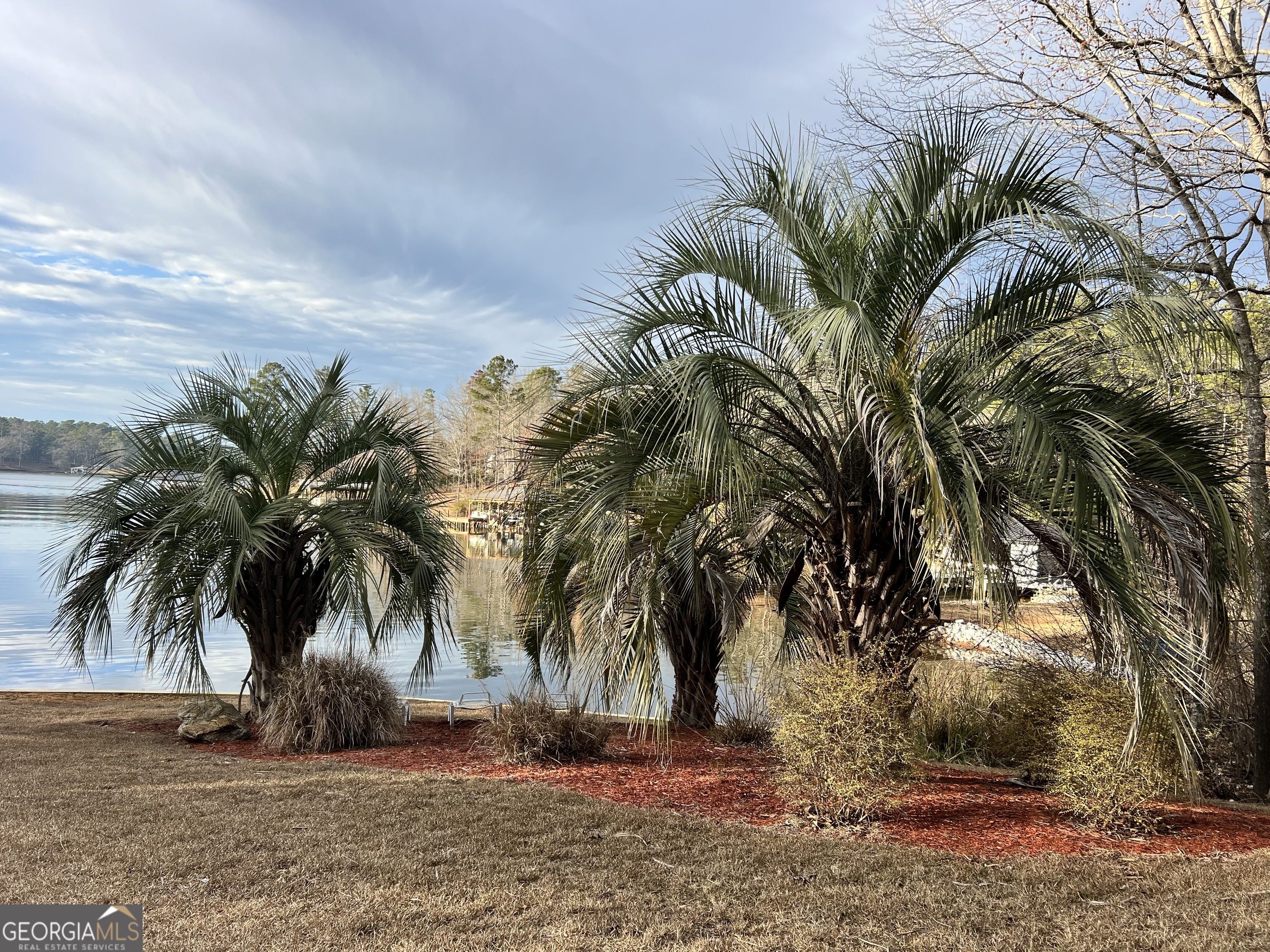 64 Bay Point Sparta, GA 31087 - Photo 33 of 53 a view of outdoor space with trees