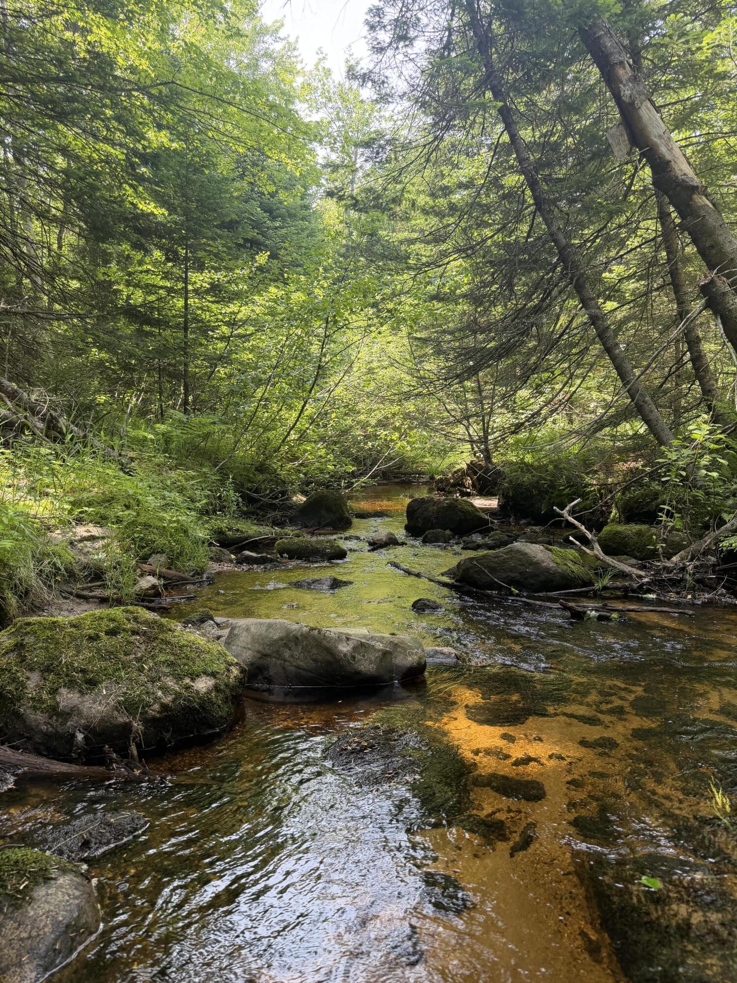 R13-30.2 Buckfield Road South Paris, ME 04281 - Photo 39 of 39 Stream