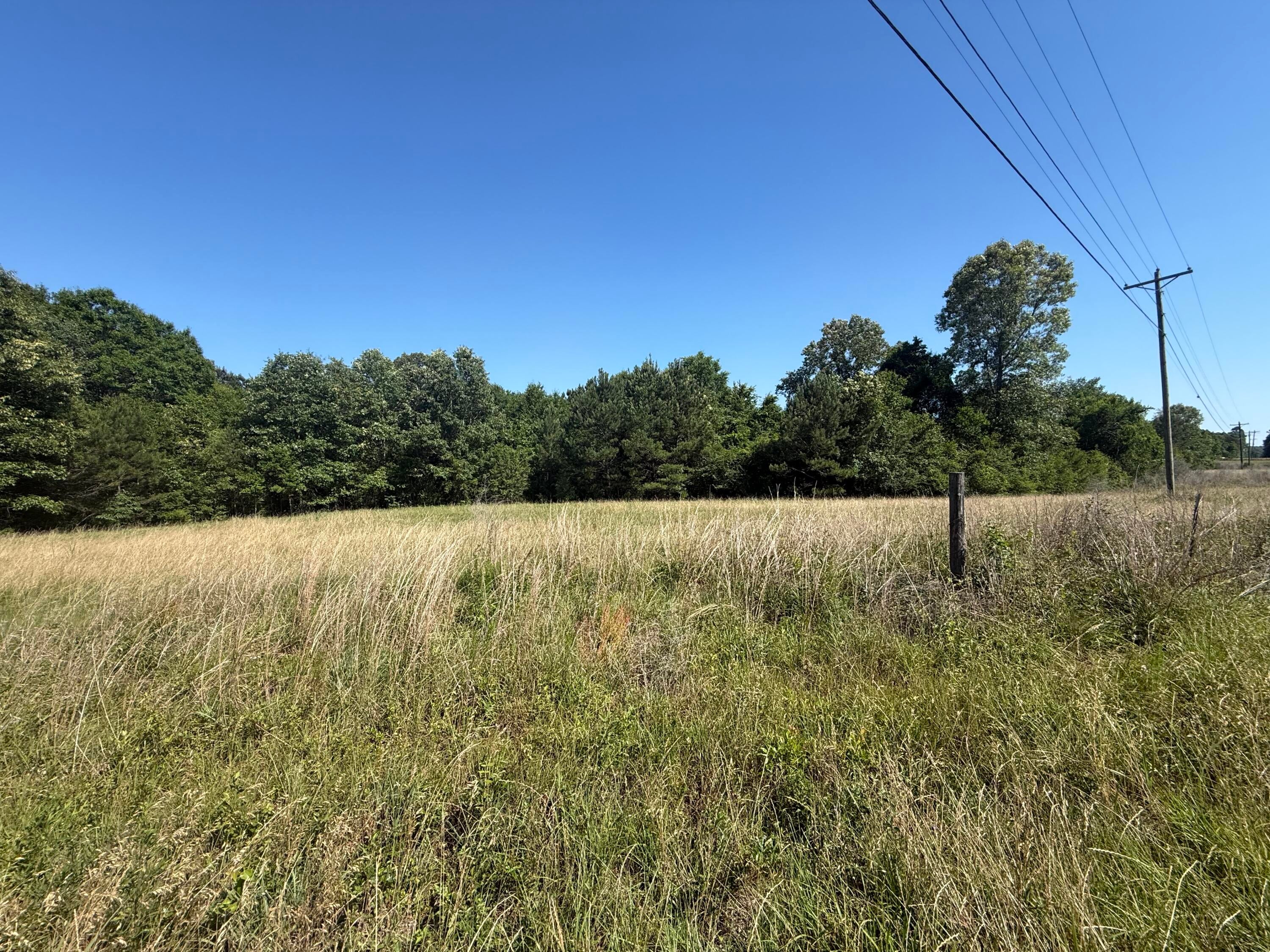 0 New Hope Church Road Foxworth, MS 39483 - Photo 1 of 1 IMG_8298 (1)