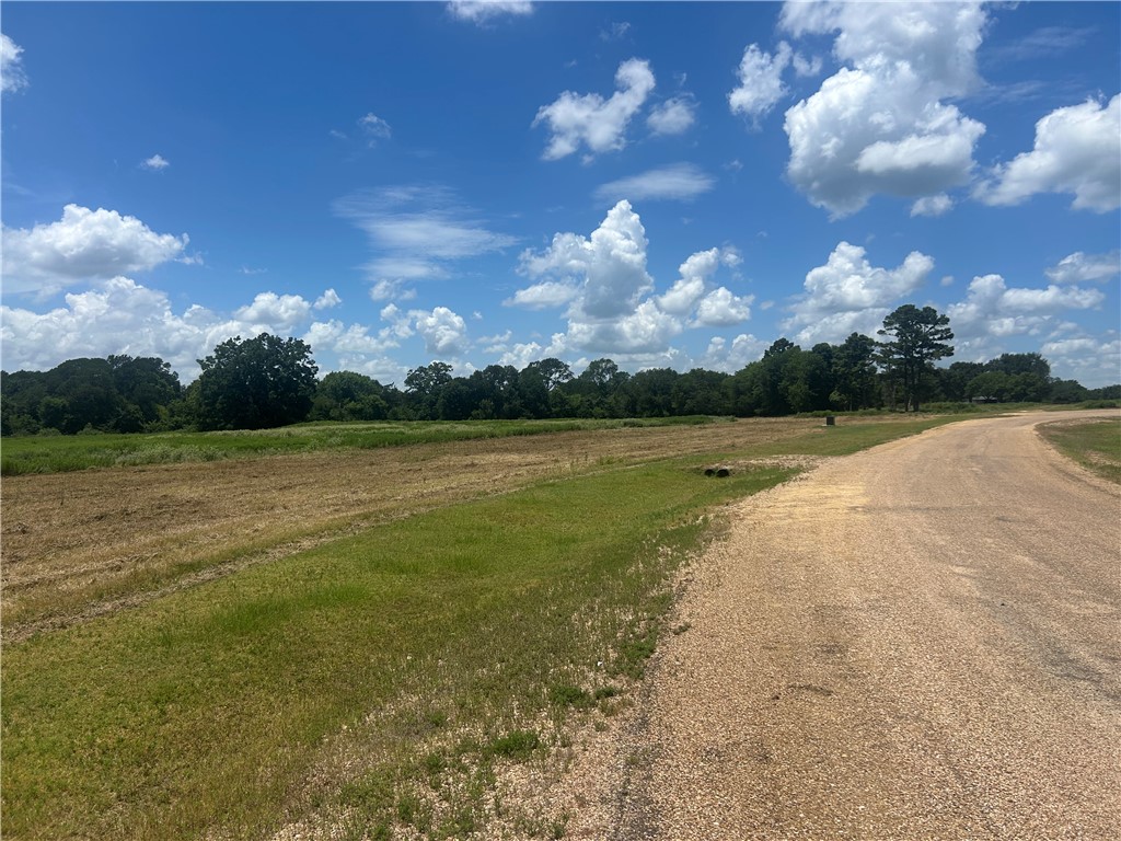 4 Hudson Farms Road Hearne, TX 77859 - Photo 3 of 11 Gallery Image 3