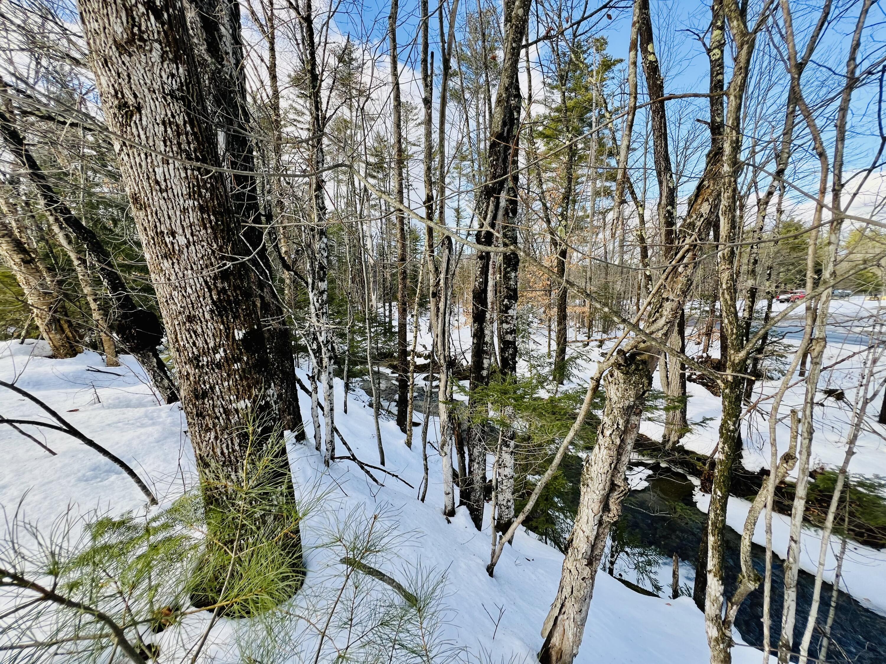 33 Wyman Hill Road Andover, ME 04216 - Photo 3 of 23 Stream