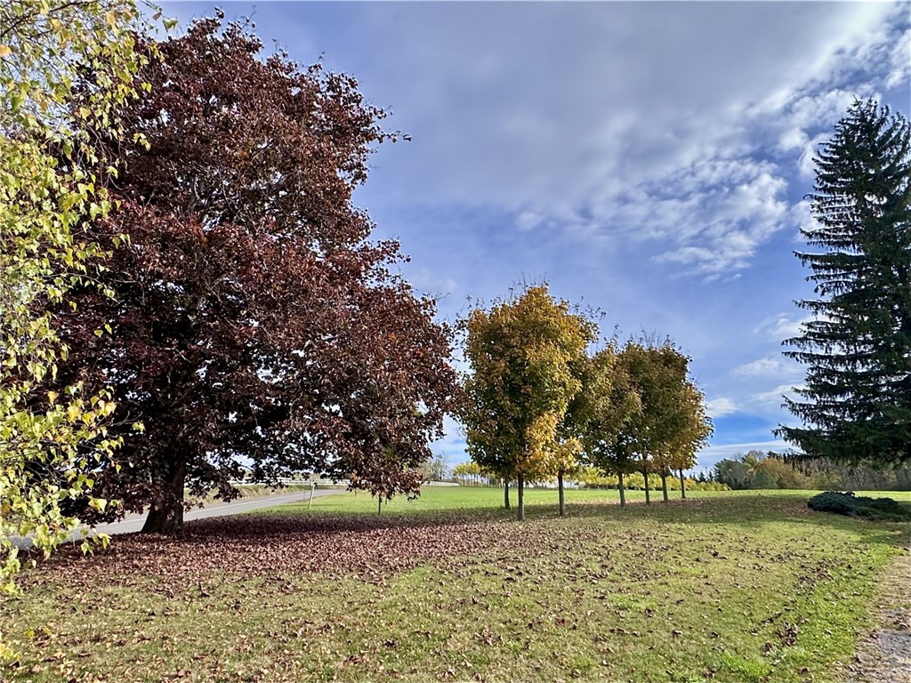 290 Little Lakes Road Warren, NY 13439 - Photo 26 of 28