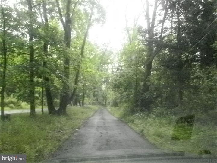 5827 Stoney Hill Road Buckingham, PA 18938 - Photo 2 of 7 Driveway