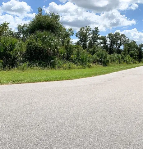 a view of a big yard with plants and large trees