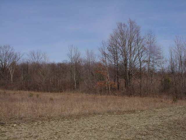 1 Anders Road Pittstown, NY 12094 - Photo 3 of 3 Photo 3