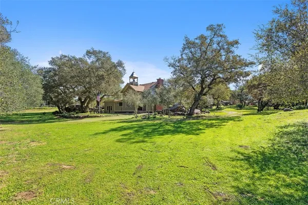 a view of outdoor space with garden and trees