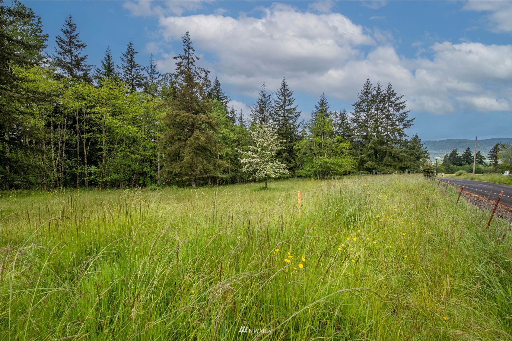 0 Risley Road Kelso, WA 98626 - Photo 1 of 22 Gallery Image 1