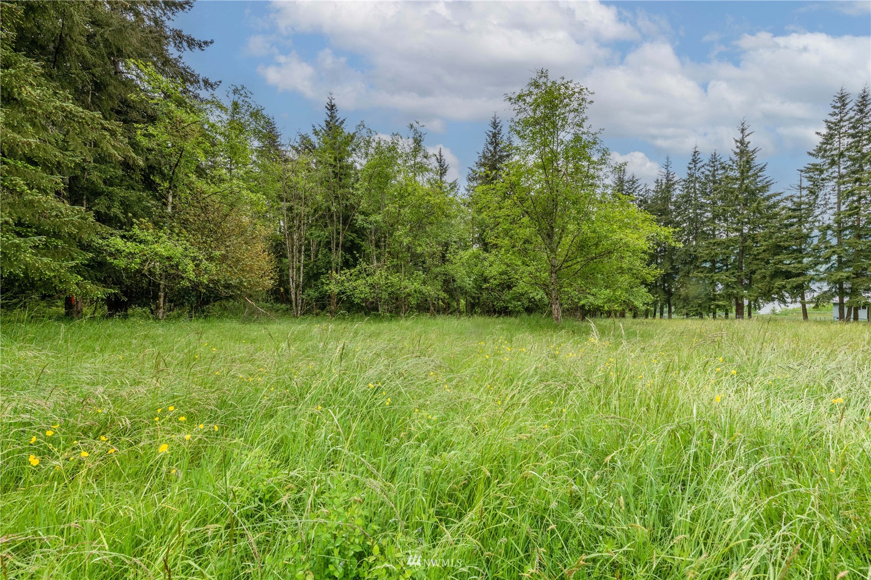 0 Risley Road Kelso, WA 98626 - Photo 11 of 22 Gallery Image 11