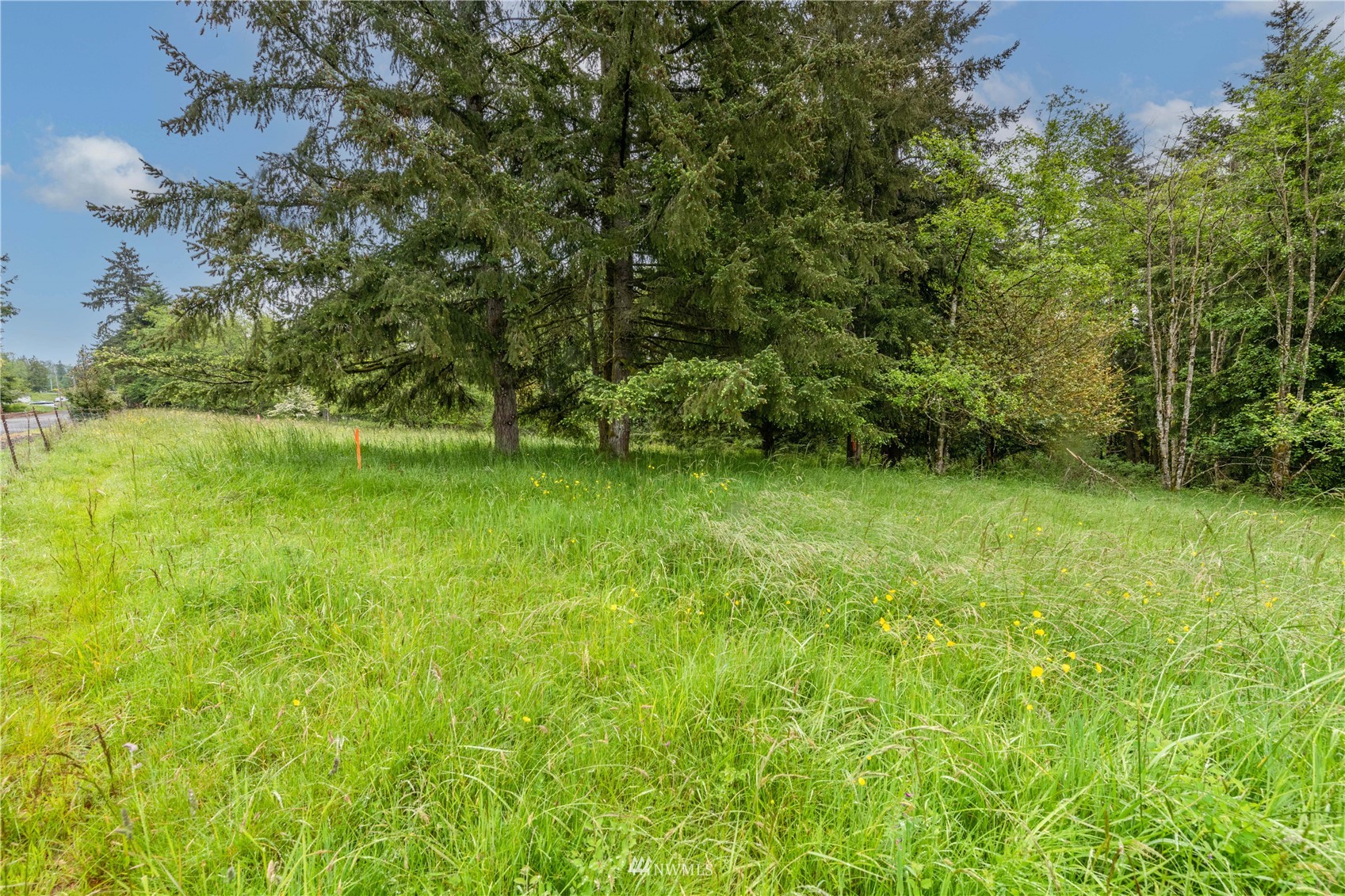 0 Risley Road Kelso, WA 98626 - Photo 12 of 22 Gallery Image 12