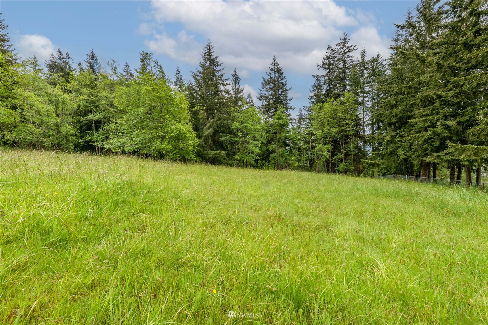 0 Risley Road Kelso, WA 98626 - Photo 13 of 22 Gallery Image 13