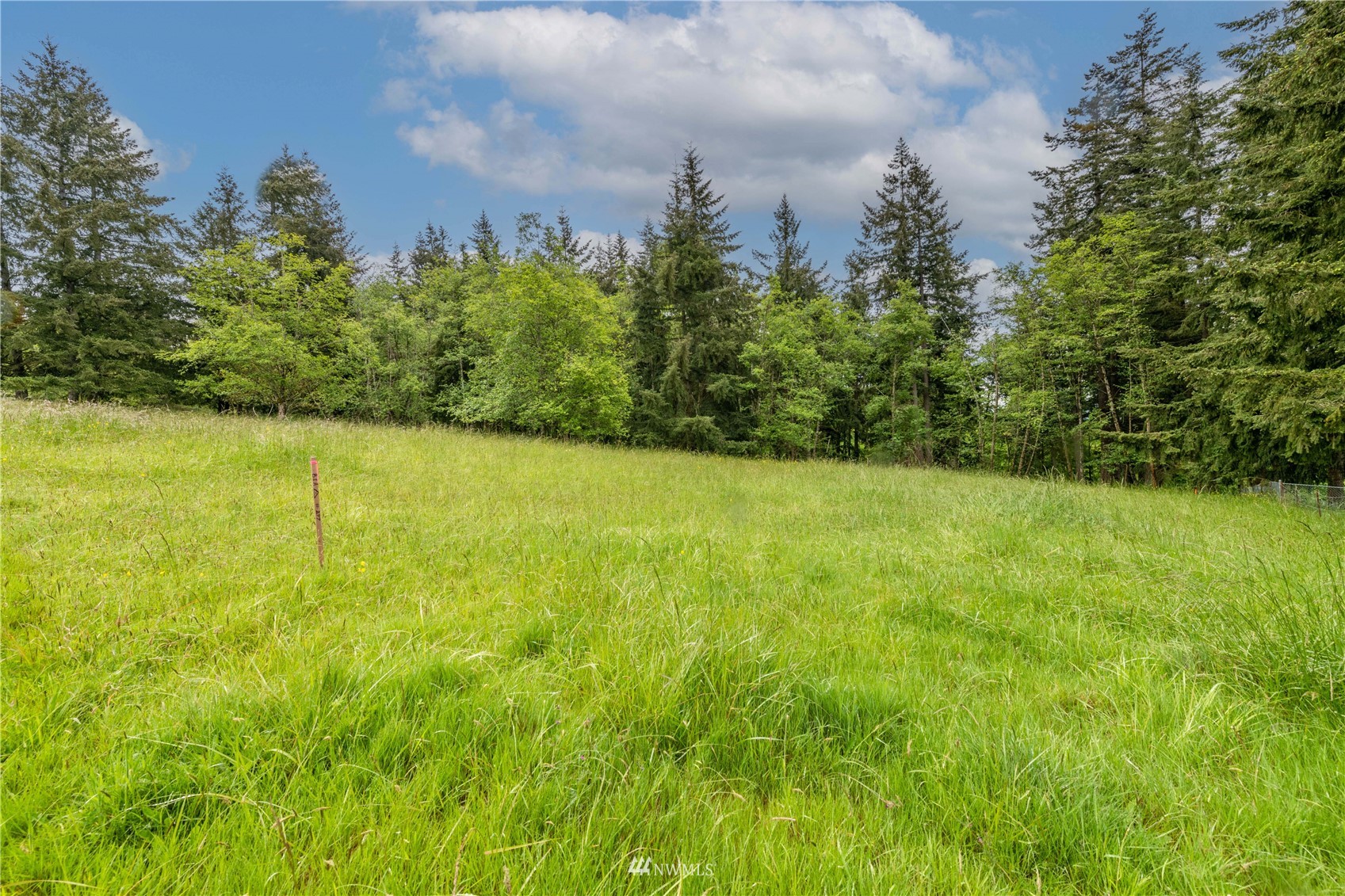 0 Risley Road Kelso, WA 98626 - Photo 14 of 22 Gallery Image 14