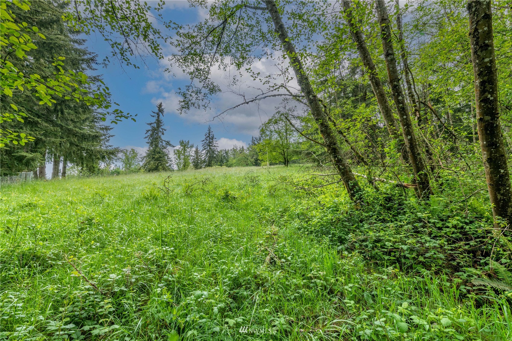0 Risley Road Kelso, WA 98626 - Photo 16 of 22 Gallery Image 16