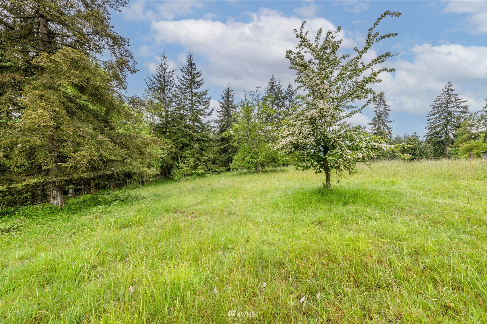 0 Risley Road Kelso, WA 98626 - Photo 3 of 22 Gallery Image 3