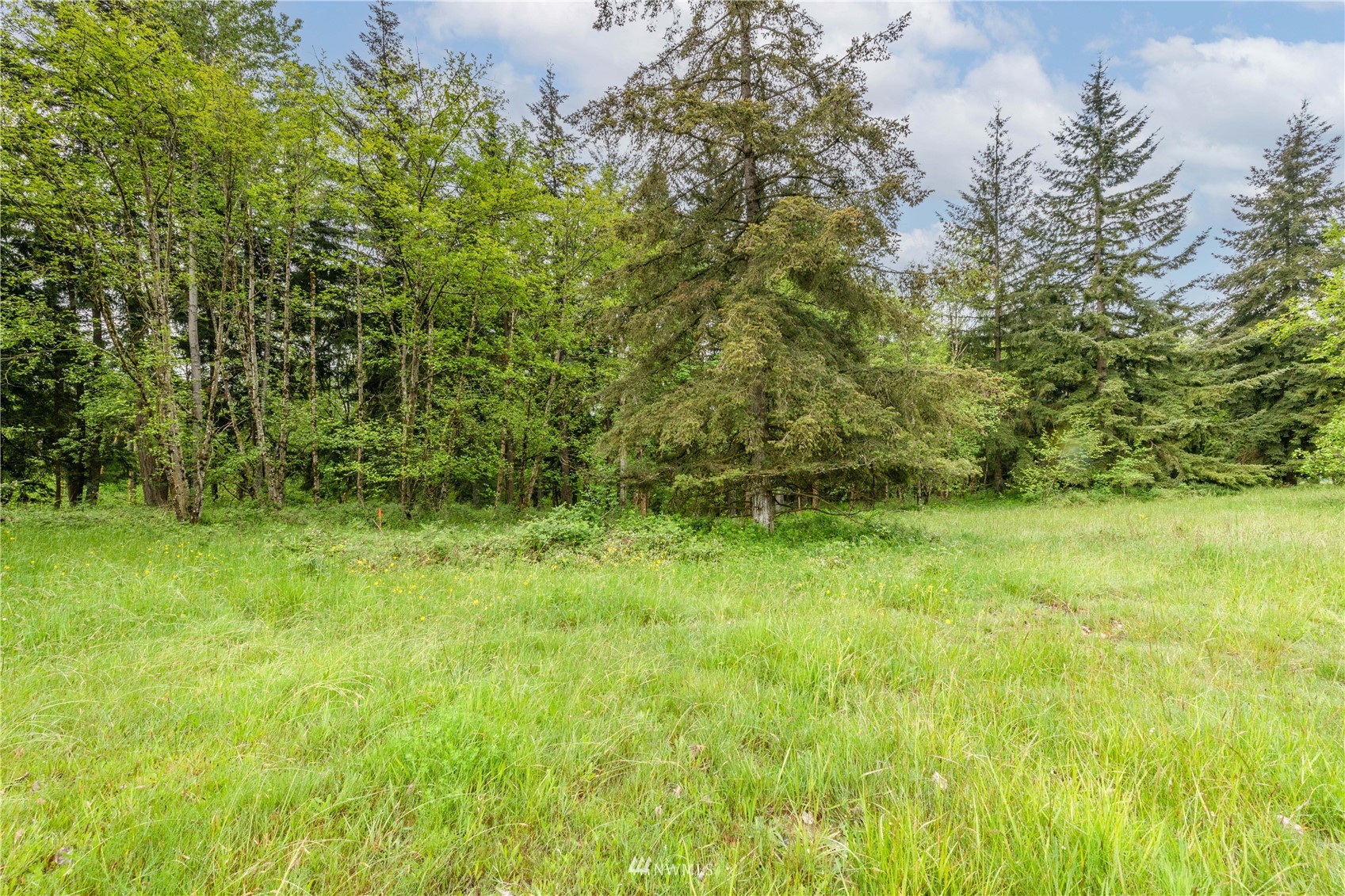 0 Risley Road Kelso, WA 98626 - Photo 4 of 22 Gallery Image 4