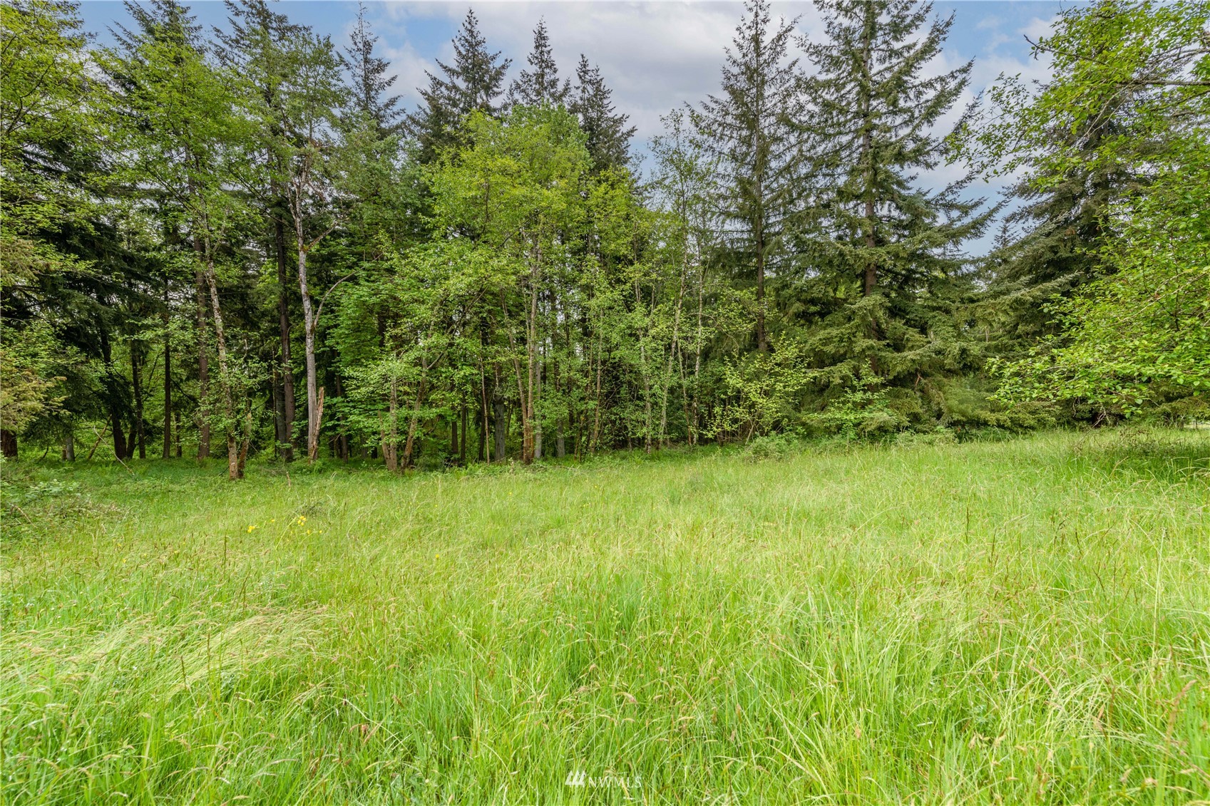 0 Risley Road Kelso, WA 98626 - Photo 5 of 22 Gallery Image 5